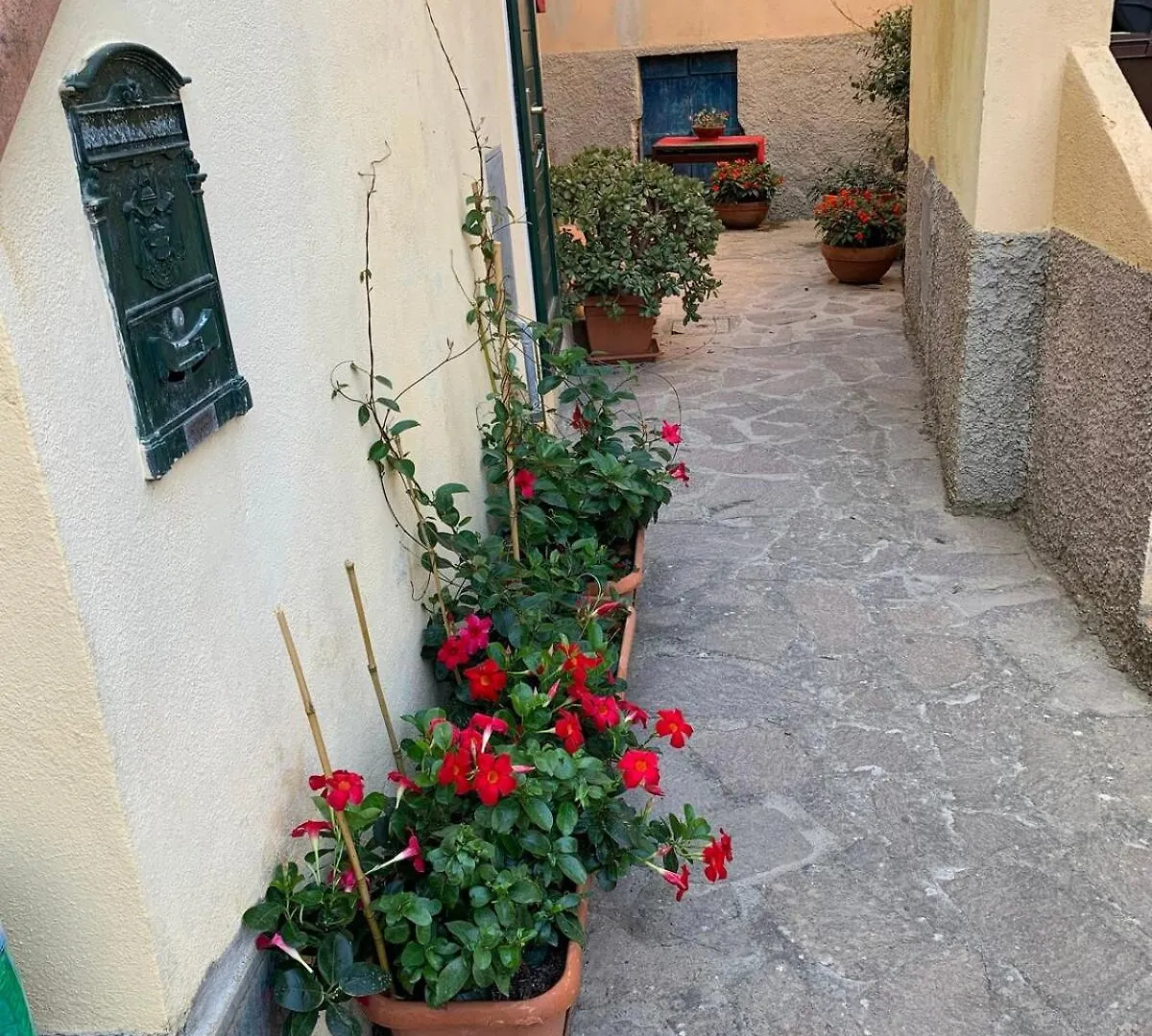 Bilocale Becky - Al Cotone Apartment Marciana Marina   Marciana Marina (Isola d'Elba)
